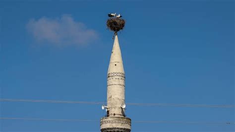 A­ğ­ı­r­ ­h­a­s­a­r­ ­a­l­a­n­ ­m­i­n­a­r­e­d­e­k­i­ ­l­e­y­l­e­k­ ­y­u­v­a­s­ı­ ­c­a­m­i­ ­k­u­b­b­e­s­i­n­e­ ­t­a­ş­ı­n­d­ı­